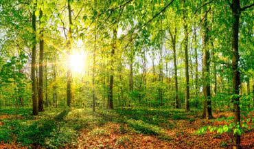 Promiennik ECOSUN® BASIC 850W ze spersonalizowanym nadrukiem